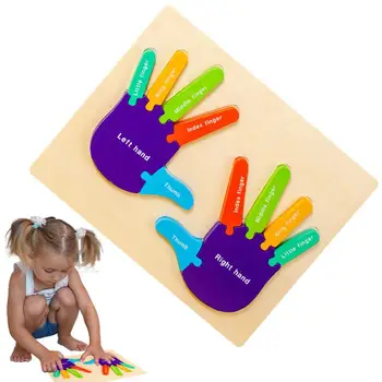 Деревянные игрушки для укладки блоков для пальцев рук и подошв, цифровые развивающие игрушки для подбора цвета, детские пазлы для раннего развития