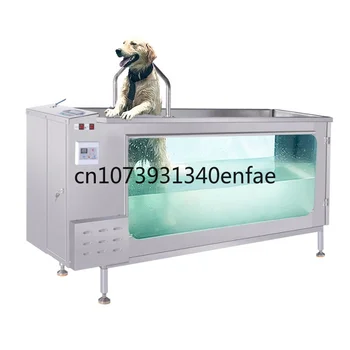 MCZ0002, Беговая дорожка для водной гидроподготовки собак, Беговая дорожка из нержавеющей стали, Ветеринарная Гидротерапия под водой для собак