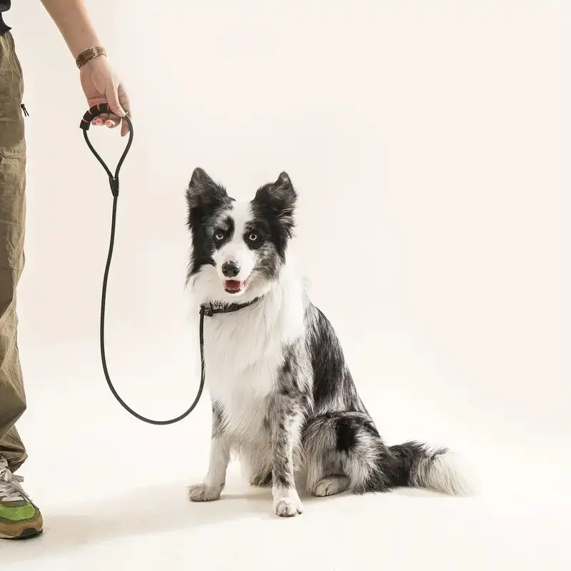 4,5-Футовый Силиконовый Регулируемый по тяге P-образный ошейник-поводок для домашних животных, Водонепроницаемые цепные поводки P-образной формы для собак малого и среднего размера